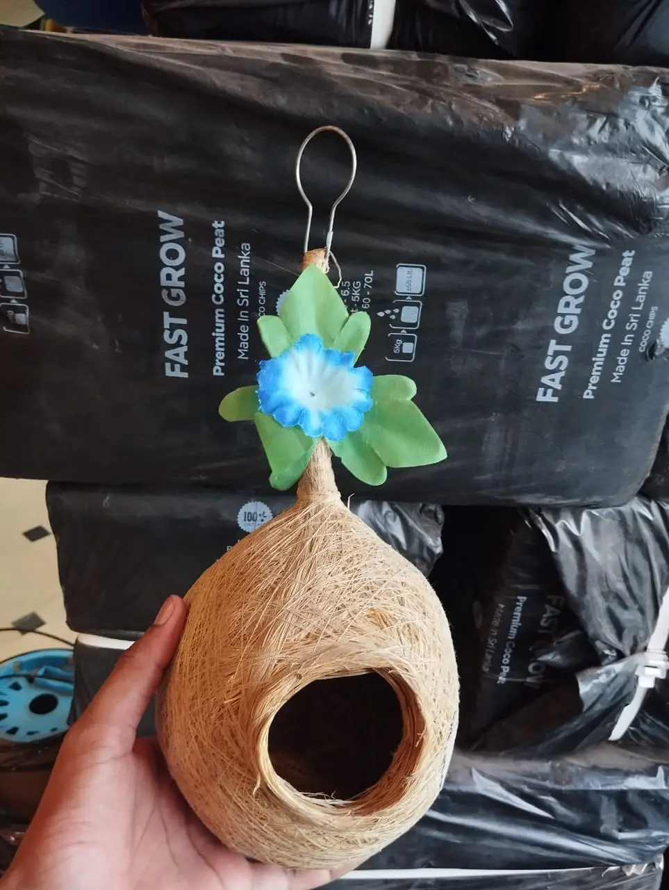 Bird Feeder for Sale in Pakistan � Feed the Birds